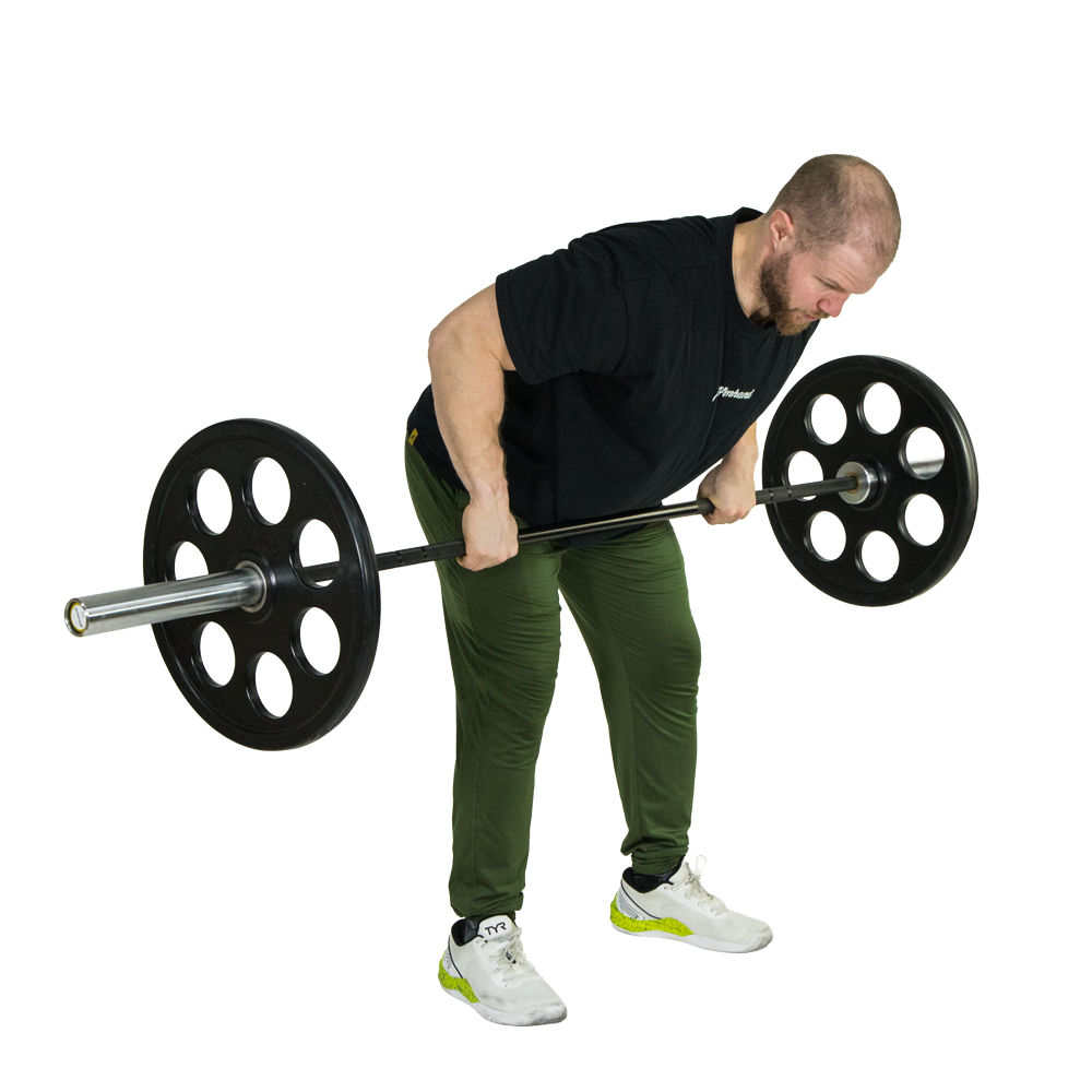 row-bodybuilding-plates-affenhand