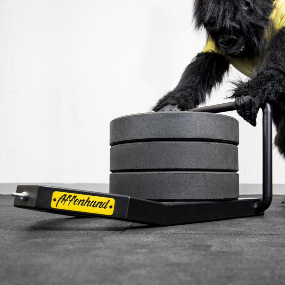 Affenhand® Mini-Schlitten für's Training – Bild 3