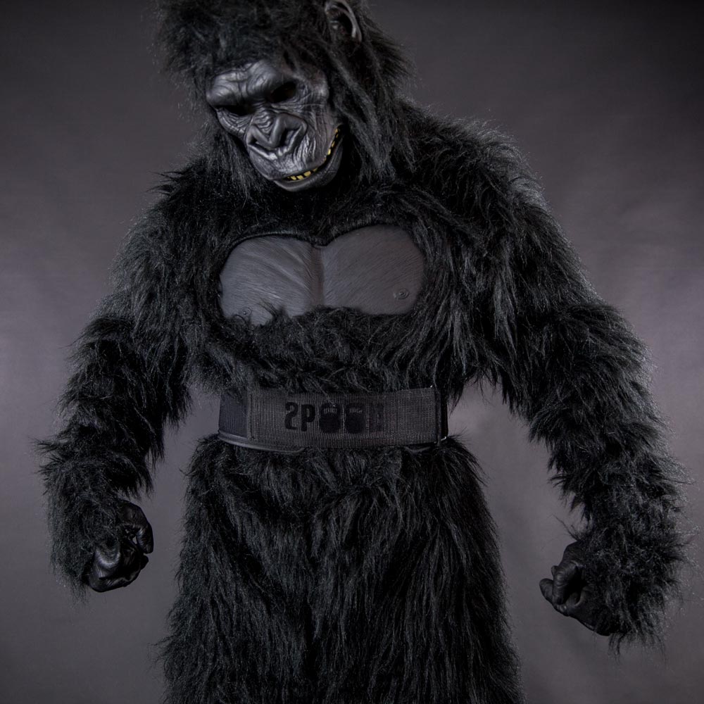 Affe mit schwarzen Gewichthebergürtel